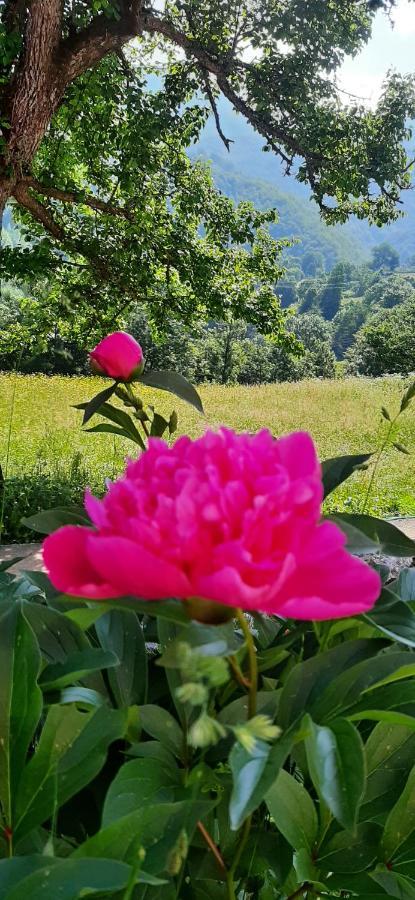 Etno Selo Zuric Villa Mojkovac Cameră foto
