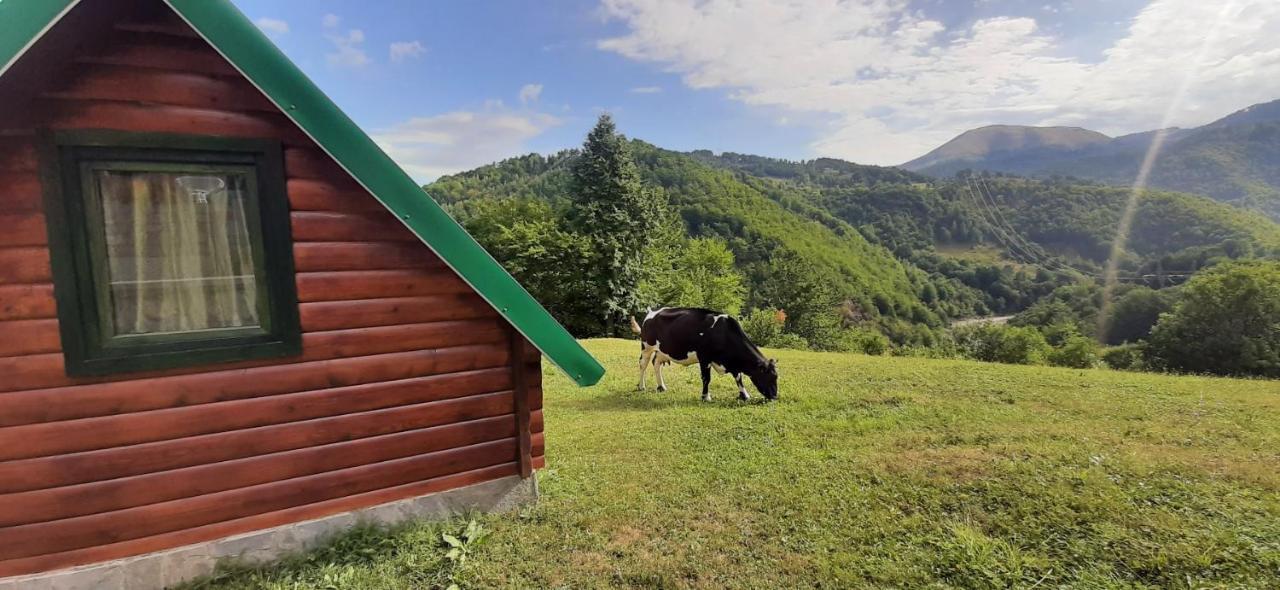 Etno Selo Zuric Villa Mojkovac Exterior foto
